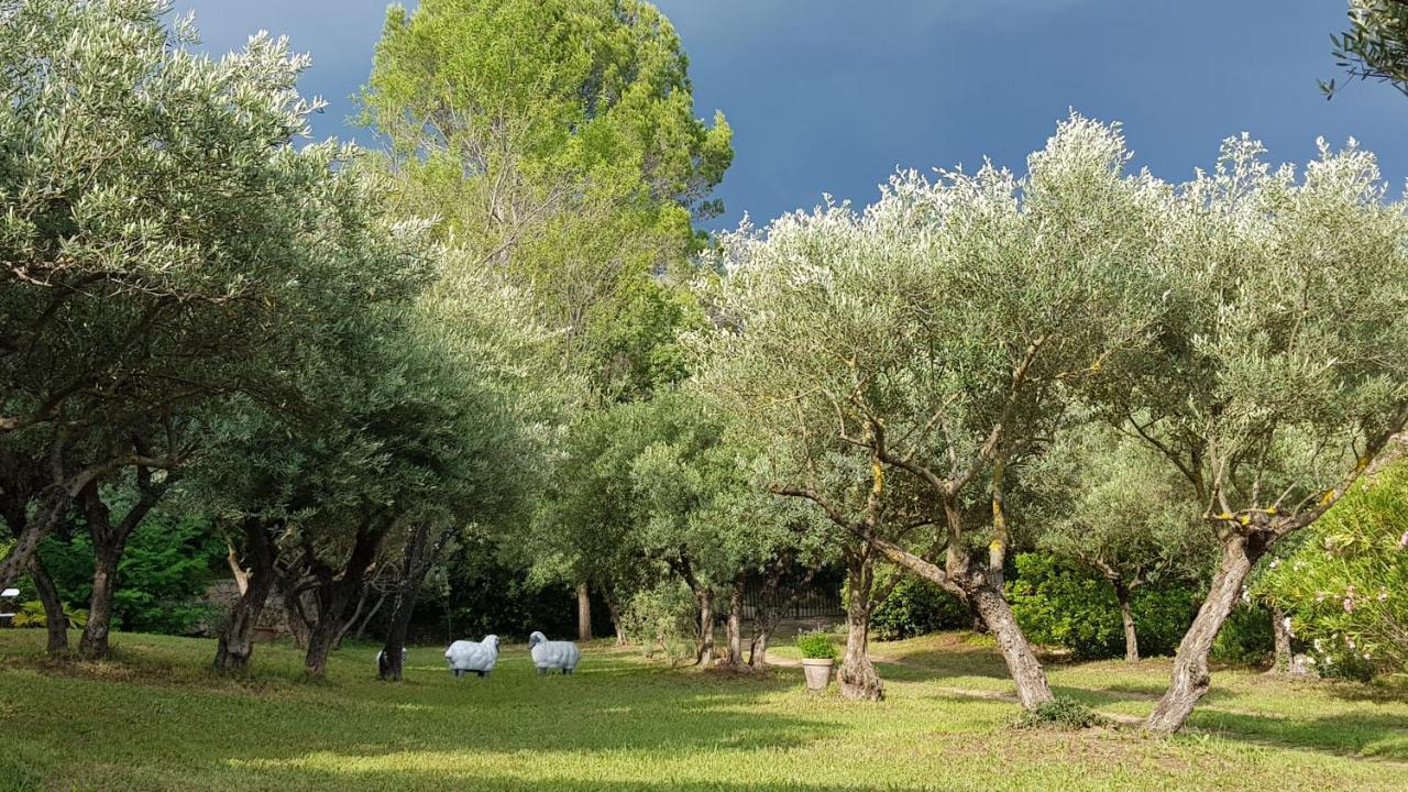 Pierres Blanches Bed & Breakfast Cotignac Eksteriør bilde